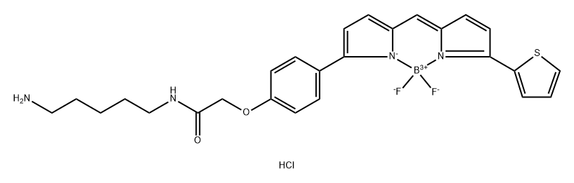 BODIPY TR Cadaverine Structure