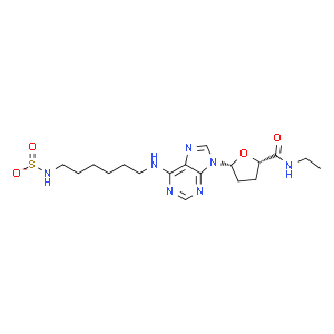 Dansylhexyl NECA  Structure