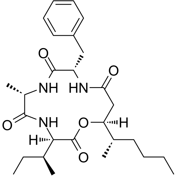 Beauveriolide III Structure