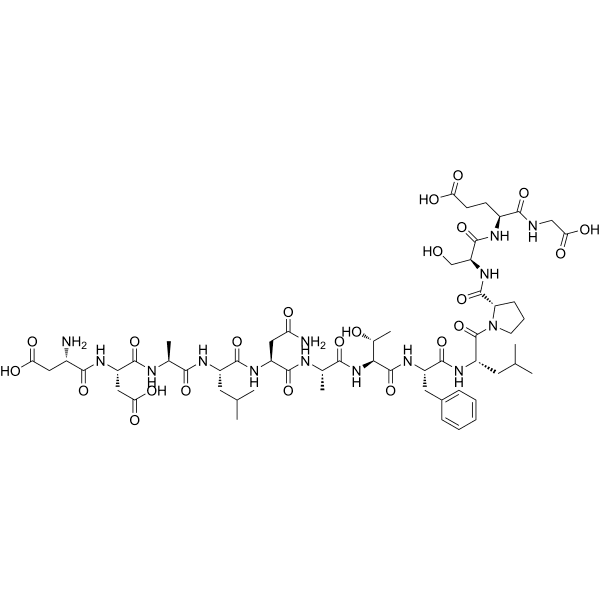 (Thr17)-c-Jun (11-23) Structure