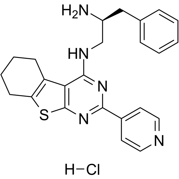 CRT0066854 hydrochloride Structure