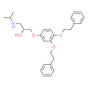 p62-ZzligandYOK-2204  Structure