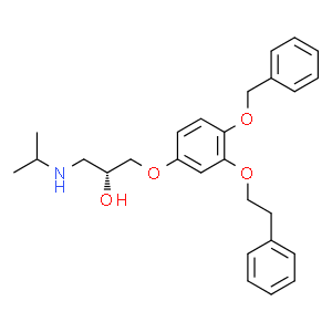 p62-ZzligandYOK-1304  Structure