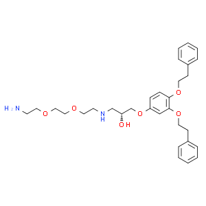YOK-2204linkerconjugate1  Structure
