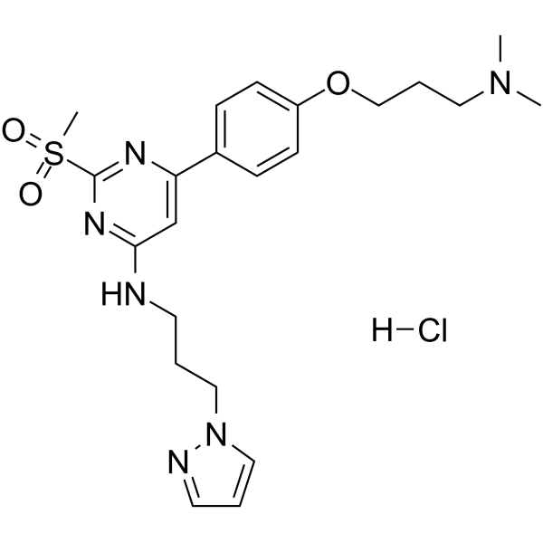 TP-238 hydrochloride  Structure