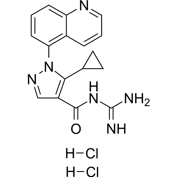 Zoniporide dihydrochloride Structure