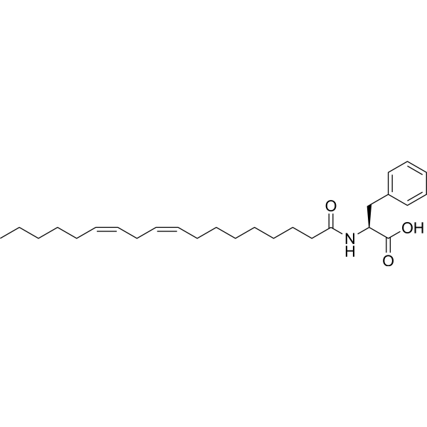 Linoleoyl phenylalanine Structure