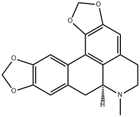 Neolitsine Structure
