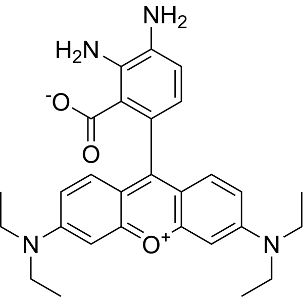 DAR-1 Structure