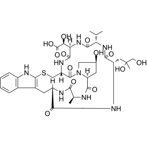 Phallacidin Structure