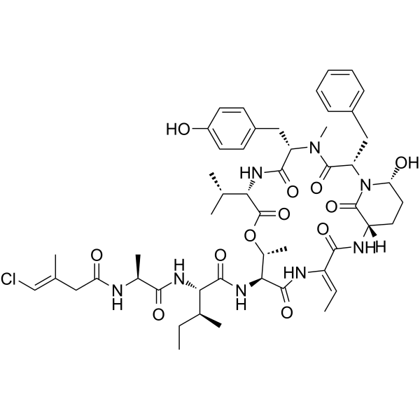 Tutuilamide A Structure