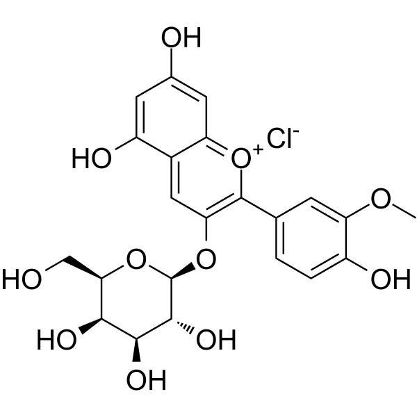 Peonidin-3-O-galactoside chloride Structure