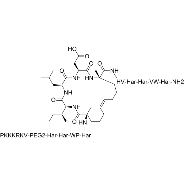 NLS-StAx-h Structure