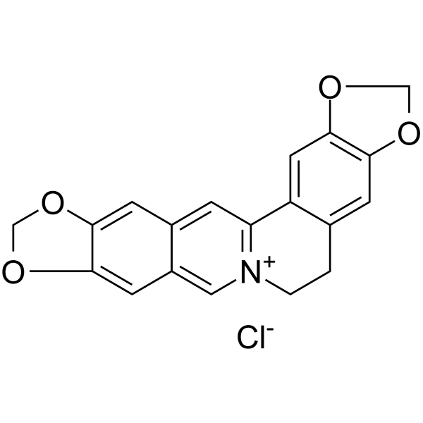 Pseudocoptisine chloride Structure