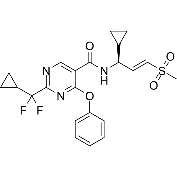 WRN inhibitor 8 Structure