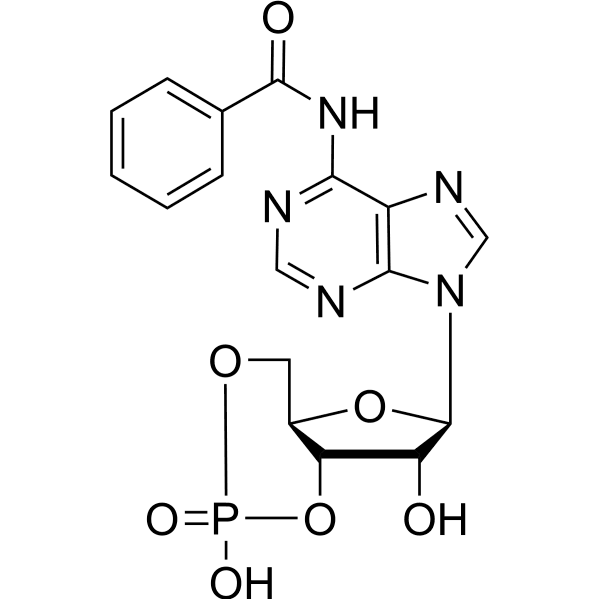 6-Bnz-cAMP Structure