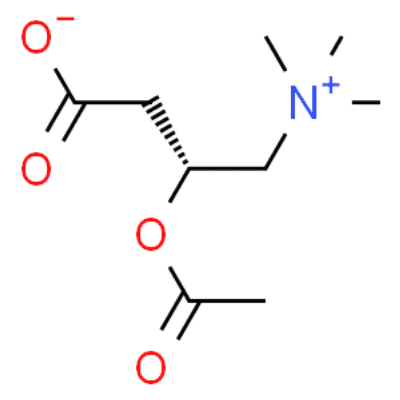 Acetyl-L-carnitine Structure