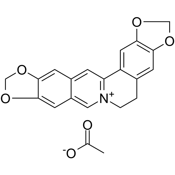 Pseudocoptisine acetate Structure