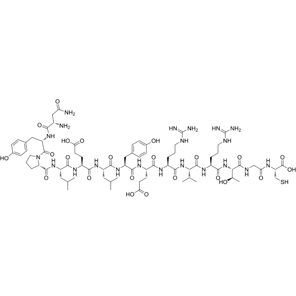 Protein Kinase C γ Peptide Structure
