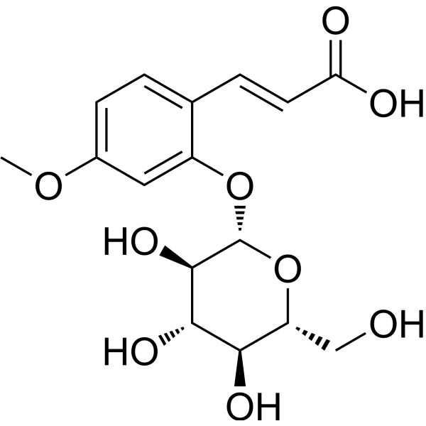 Z-GMCA Structure