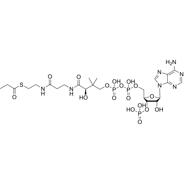 Propionyl CoA Structure