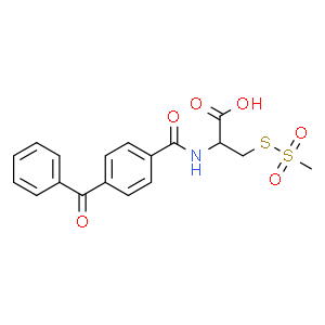 Benzophenone-4-carboxaMidocysteine Methanethiosulfonate  Structure