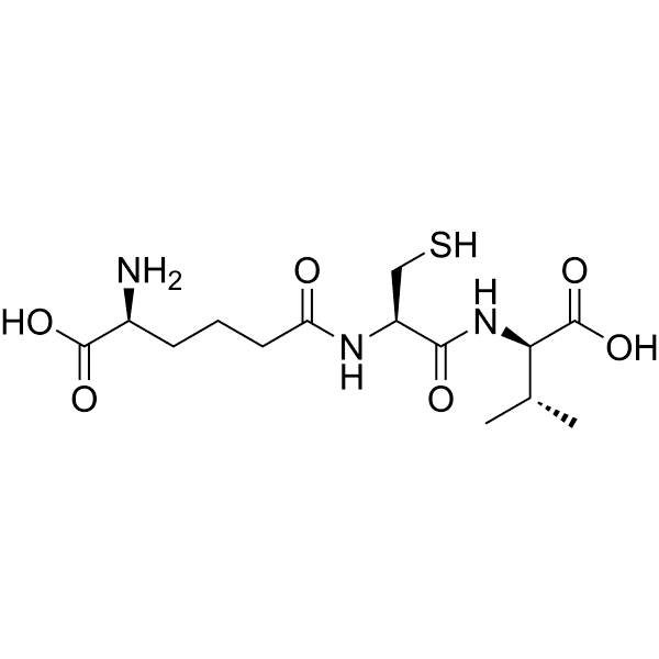 ACV Tripeptide Structure