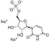 5'-UMP disodium salt Structure