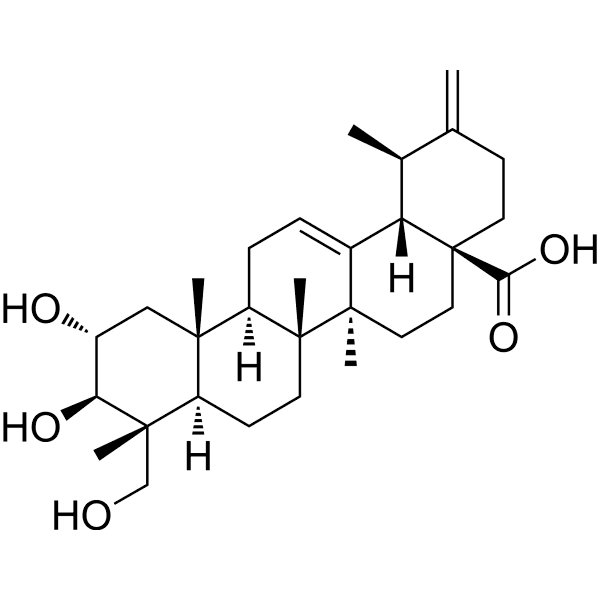 Actinidic acid Structure