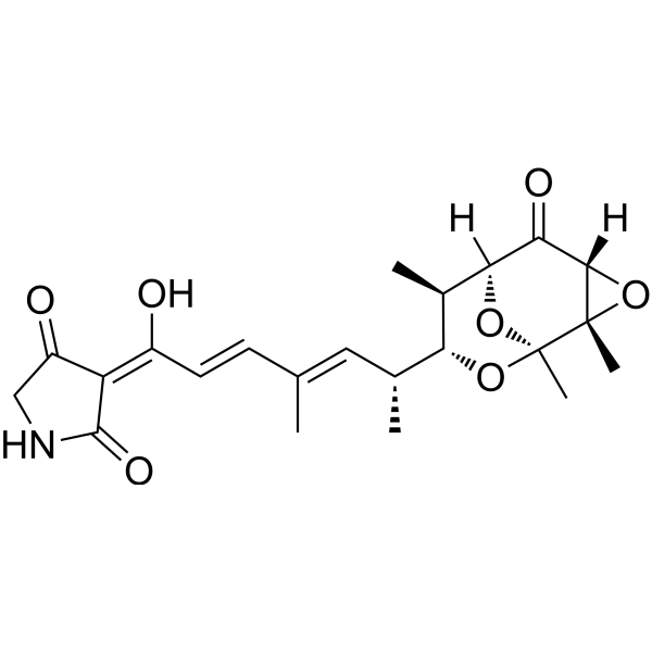 Tirandamycin A Structure