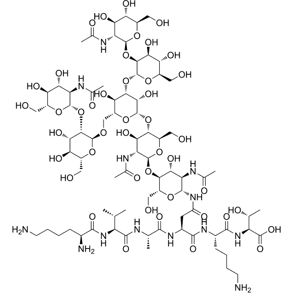 Agalactoglyco peptide Structure