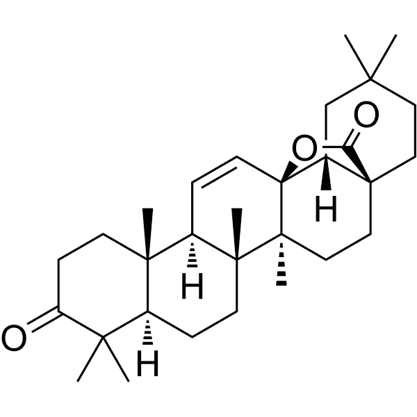 Melliferone Structure