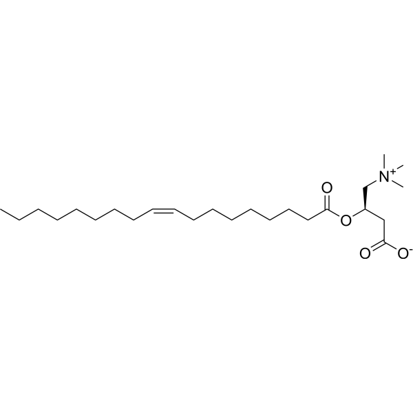 Oleoylcarnitine Structure