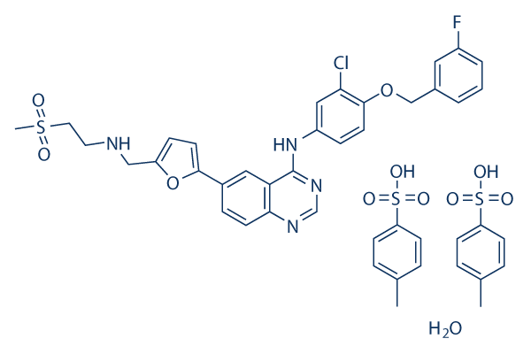Lapatinib ditosylate monohydrate Structure