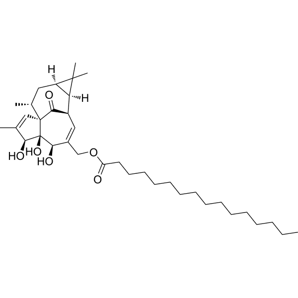Ingenol 20-palmitate Structure