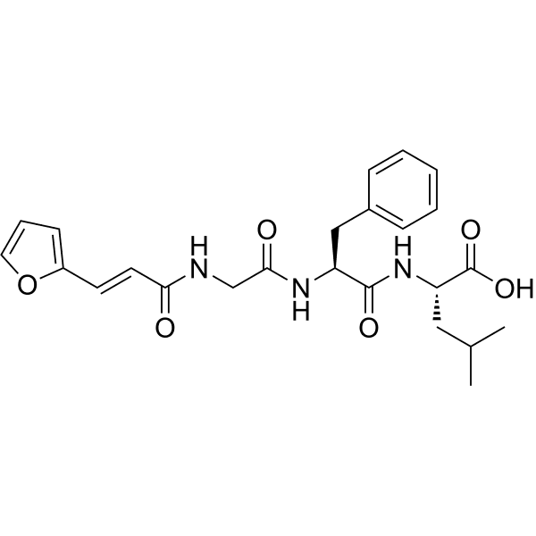 FA-Gly-Phe-Leu Structure