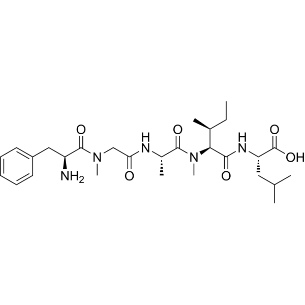 F(N-Me)GA(N-Me)IL Structure