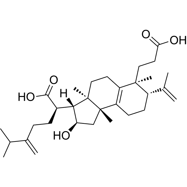 Poricoic acid H Structure