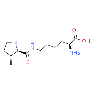 L-Pyrrolysine  Structure