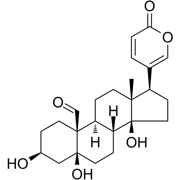 Bufotalidin Structure