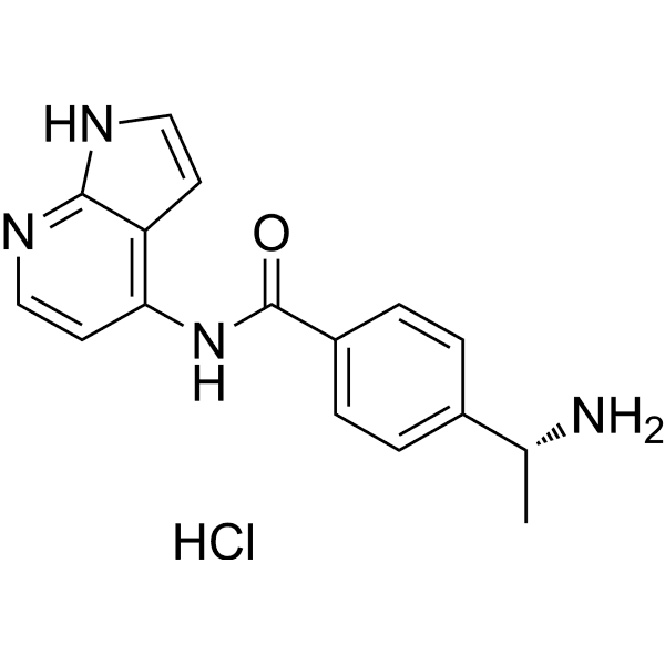 Y-33075 hydrochloride Structure