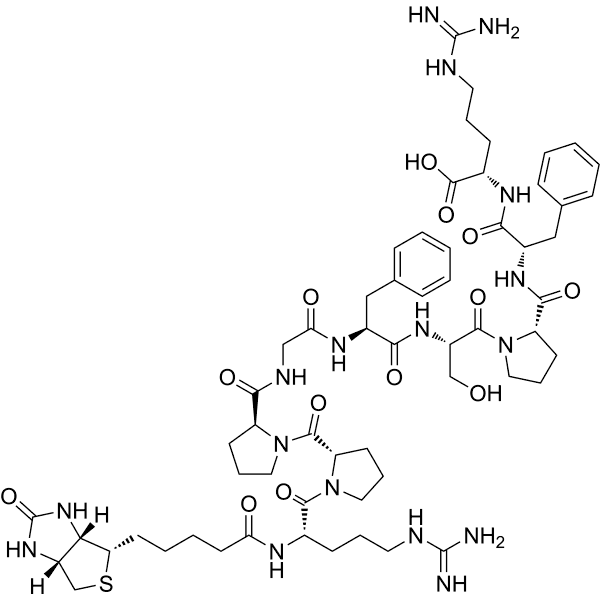 biotin-Bradykinin Structure