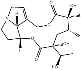 Jacoline Structure