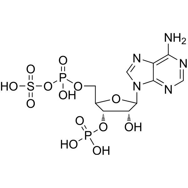 Adenosine 3'-phosphate 5'-phosphosulfate  Structure