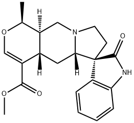 Isomitraphylline Structure