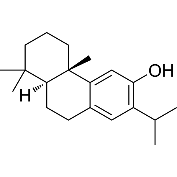 Ferruginol Structure