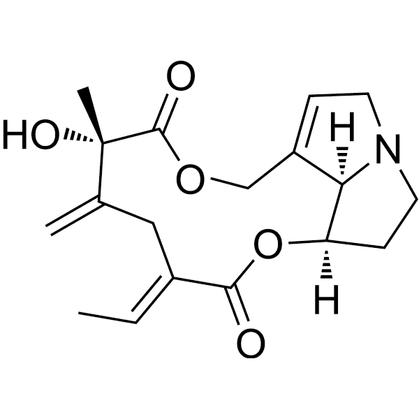 Spartioidine Structure