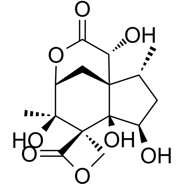 Anisatin Structure