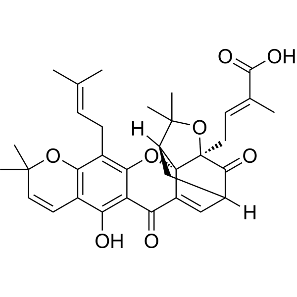 Isomorellic acid Structure