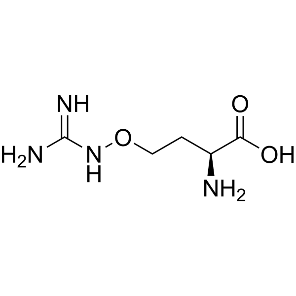 L-Canavanine Structure